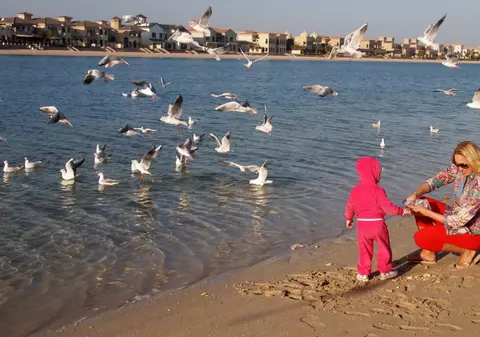 Raluca Zenga îngraşă pescăruşii în Dubai 