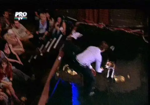 El este Bailey, câinele care nu-l place pe Mihai Petre