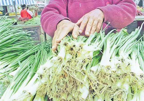 Prețurile legumelor vor exploda din cauza zăpezilor | Ceapa verde, produs de speculă