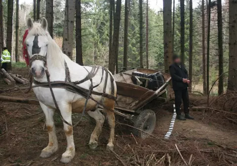 Ce şmecherie! Uite românii care fac bani cu... căruţa!