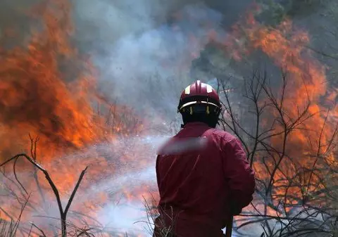 Incendiu de vegetație pe autostrada București-Pitești. Traficul se desfășoară cu dificultate
