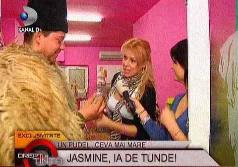 Jasmine, luată cu asalt de un cioban și berbecul lui, la salonul de înfrumusețare