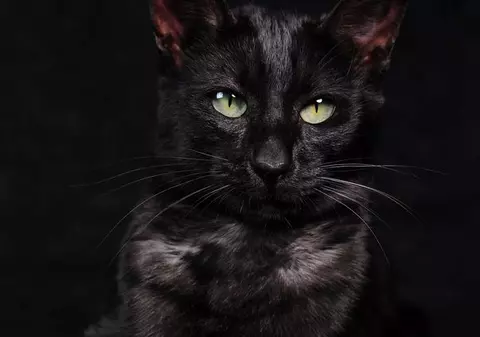 Marți 13. Zi banală sau ghinion curat? Află superstițiile legate de această zi!