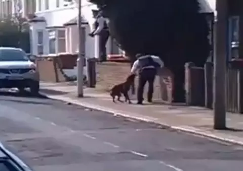 Atacul pentru care poliţiştii nu erau pregătiţi: un pitbull iţi iese din minţi şi doar un glonţ îl poate opri | VIDEO ŞOCANT