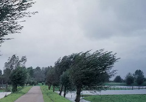 Meteorologii au emis cod galben de vânt pentru 19 județe