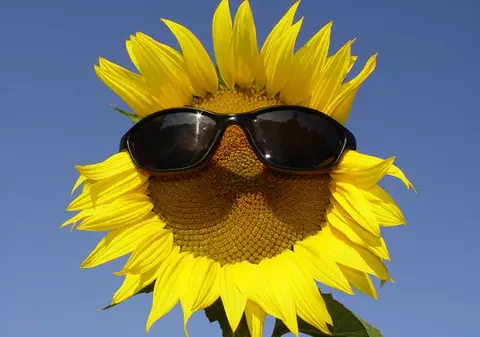 Vremea caldă pune stăpânire pe întreaga țară. Află ce temperaturi vor fi joi și vineri!