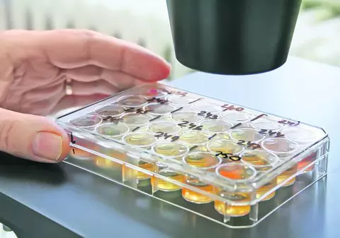 Salvaţi vaccinurile româneşti!