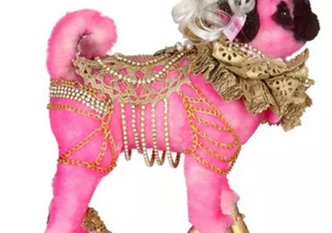 Vrei să ai câine în trend? Îmbracă-l de la Valentino, Roberto Cavalli sau Versace! FOTO