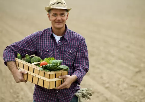MADR va acorda ajutoare producătorilor de legume care au fost afectaţi de zăpadă
