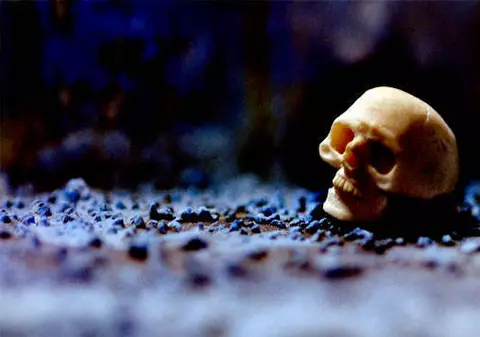 Descoperire MACABRĂ, la Iaşi! Craniu de om, devorat de câini!