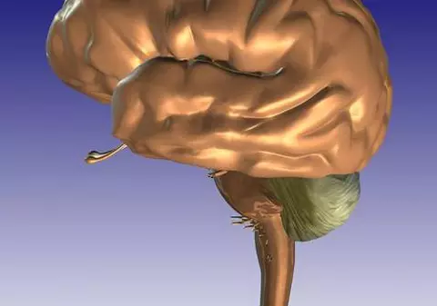 Află unde se ascunde… inteligenţa oamenilor! 