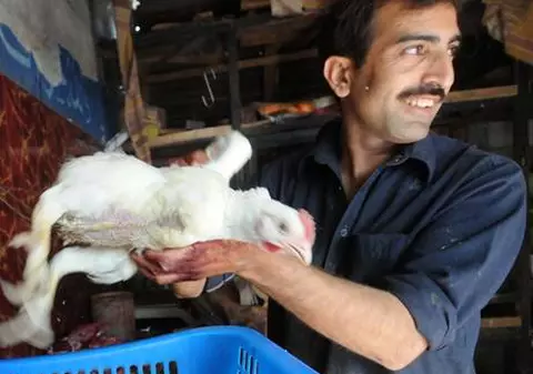 Patru găinari români condamnaţi la închisoare în Franţa