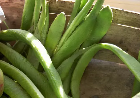 În atenția bărbaților! Consumul de legume cu păstăi şi fructe vă protejează de Parkinson