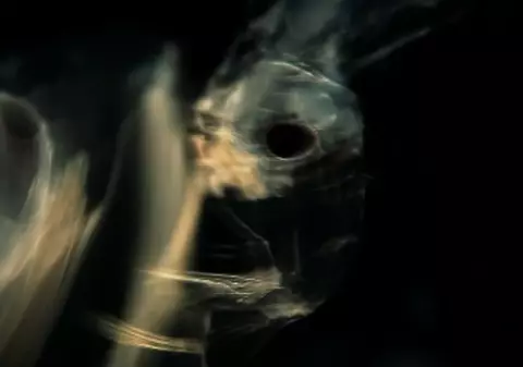 ATENŢIE, VIDEO ŞOCANT! Imaginile care te pot face să renunţi la ceea ce te ţine viu!