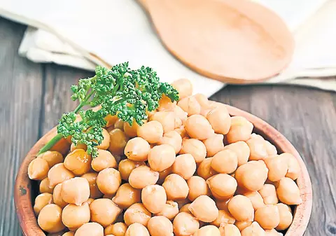 Năutul reglează zahărul din sânge