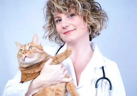 O campanie de sterilizare a pisicilor începe de mâine în Capitală