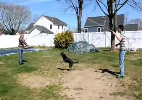 Video: Aţi mai văzut câini care să sară coarda? Ia priviţi aici!