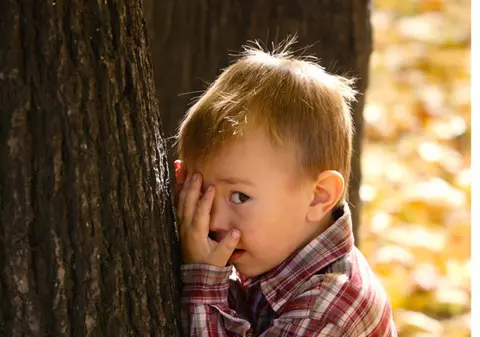 Dramă în parc! Au mers cu băieţelul de 2 ani la joacă şi un copac s-a prăbuşit peste el!