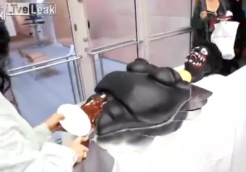 CÂT DE STRANIU! Tortul mutilat în zona... GENITALĂ | VIDEO