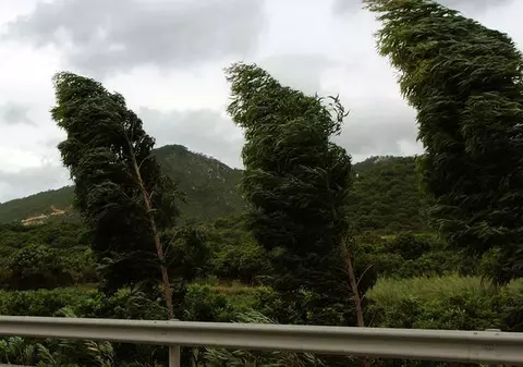 Avertizare de vânt puternic în șase județe