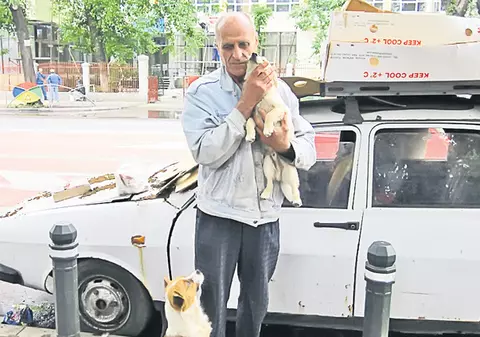 O maşină a devenit apartamentul unor maidanezi