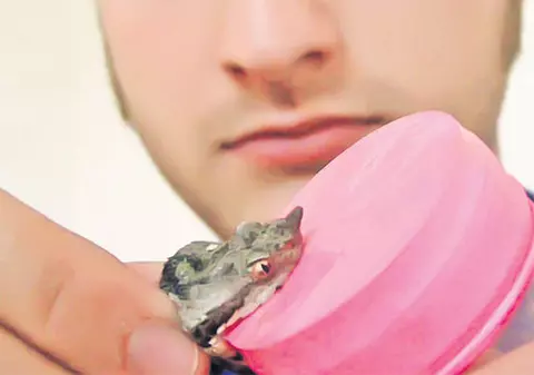 Uite ce carte lansează Andrei Tinu după ce a fost muşcat de viperă!