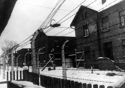 Declaraţii ULUITOARE ale liderului neonaziştilor, din Parlamentul grec: "La Auschwitz, nu...."