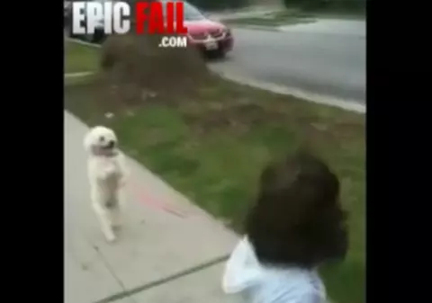 Cel mai BIZAR CĂŢELUŞ! Uite cum este plimbat de stăpâna lui | VIDEO