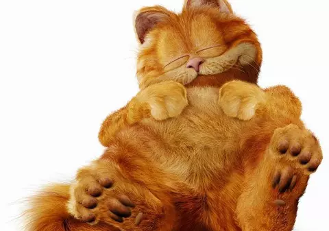 Garfield şi Leonard Iosefini se întâlnesc cu picii din Sibiu