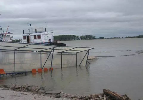 Zeci de locuințe inundate și culturile distruse, în județul Gorj