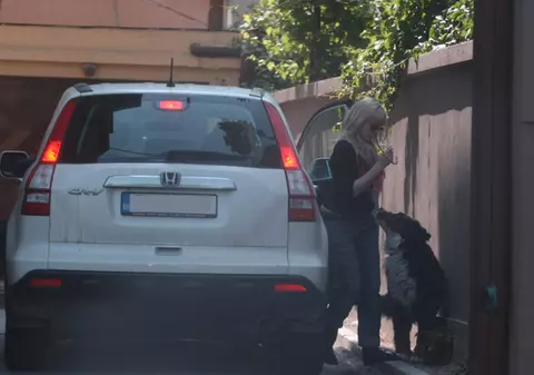 Meme Stoica iubeşte câinii, soţia lui nu prea!