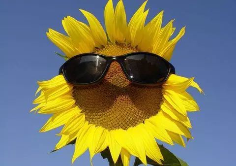 Vremea mai ţine cu noi până pe 17 mai 