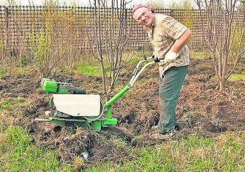 Serviciile sociale din Germania fac față cu greu valului de imigranți români și bulgari