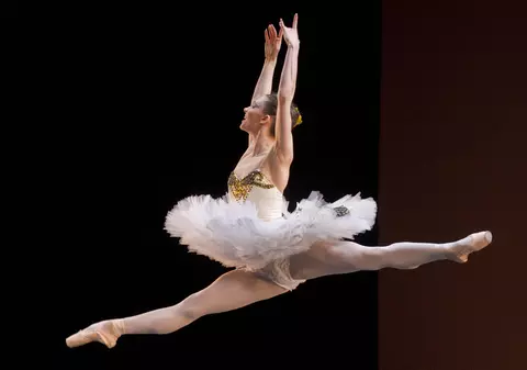 Proiectul Legii salarizării unitare nu respectă munca muzicienilor de orchestră, din coruri și a balerinilor- sindicate