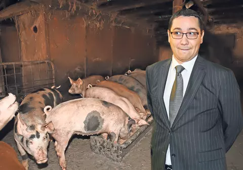 Ea l-a scos pe Ponta din troaca porcilor!