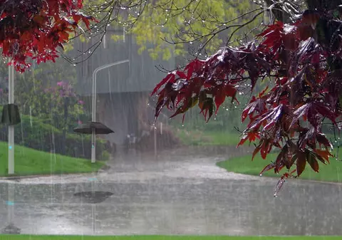 Află care sunt pretenţiile bizare ale starurilor care cântă anul acesta în România