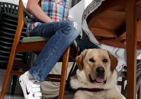 Un tânăr din Bucureşti e singurul nevăzător din România care va merge la şcoală condus de un câine