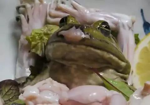 Cea mai dezgustătoare mâncare vine din Japonia ... și mișcă! VIDEO ȘOCANT