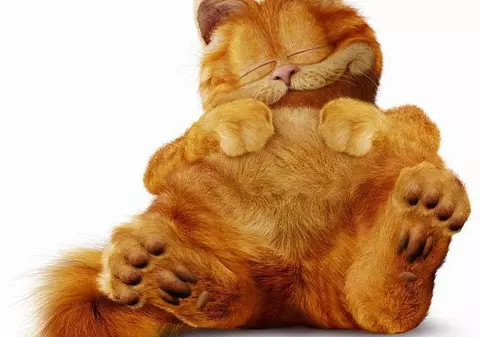 Motanul Garfield vine în parcul Drumul Taberei