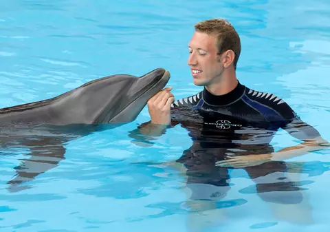 Oamenii NU SUNT singurele fiinţe care gândesc! Delfinii, elefanţii şi câinii posedă un tip de INTELIGENŢĂ diferit de al omului