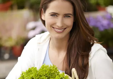 GHIDUL plantelor medicinale