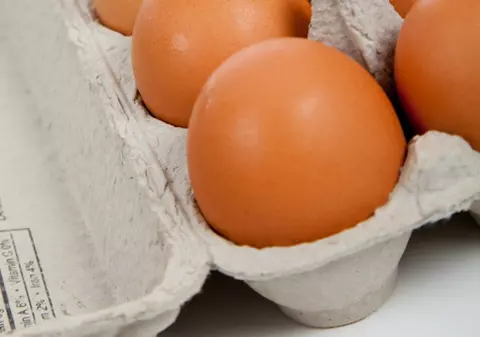 Produse de origine animală folosite în cosmetică