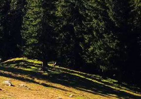 Turistă căzută într-o prăpastie în Munţii Făgăraşului