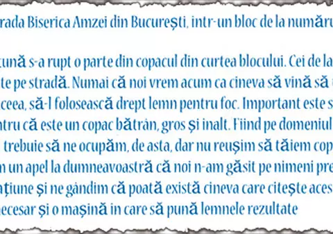«Nu reuşim să tăiem copacul din curtea imobilului în care locuim»
