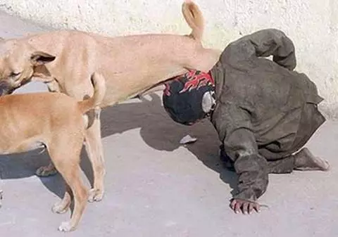 CÂT DE NEBUN! Copilul unui cerşetor suge lapte de la o căţea! | VIDEO