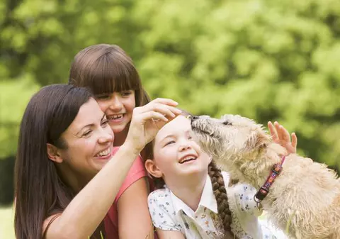 Câinii protejează bebelușii de infecții