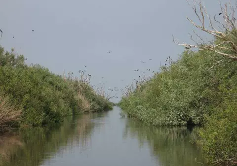 China vrea să investească în dezvoltarea Regiunii Dunării