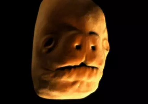 IMAGINILE CARE ÎŢI ARATĂ CUM ÎNCEPE TOTUL! Adevărul care te îngrozeşte