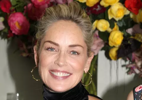 Sharon Stone şi Andy Garcia filmează la Arefu, în Argeş, de la sfârşitul lunii