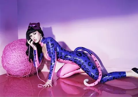Fiţe de vedetă! Katy Perry a angajat un psiholog pentru pisicile ei